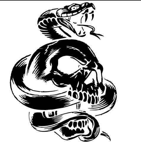 Snake Skull svg digital File for Silhouette, Cricut, and Lightburn and more !